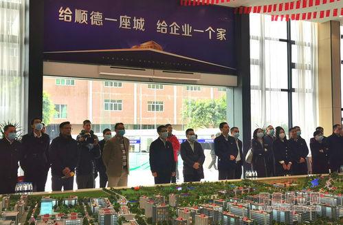 顺德龙江镇爆料案件最新,真相揭秘，疑云重重！