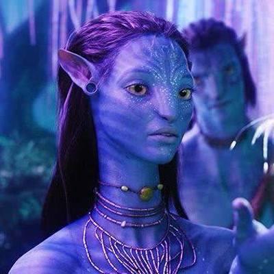 小丑鱼爆料老杜视频大全