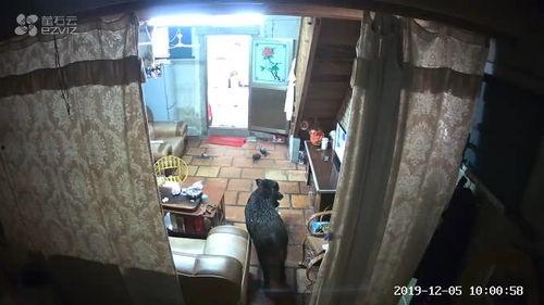 广东揭阳普宁爆料新闻视频